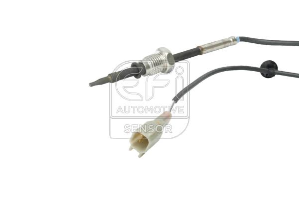 EFI AUTOMOTIVE