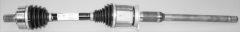 SPIDAN 36341 — Planetară