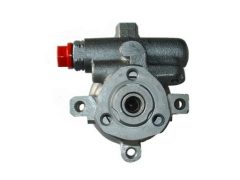 SPIDAN 53530 — Pompă servodirecție