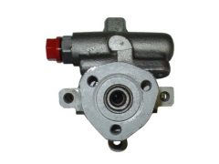 SPIDAN 53555 — Pompă servodirecție