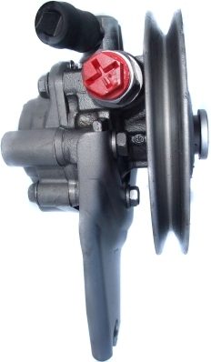 SPIDAN 53860 — Насос ГУР