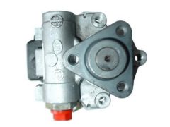 SPIDAN 54280 — Насос ГУР