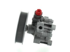 SPIDAN 54492 — Pompă servodirecție