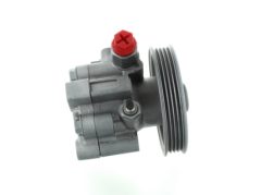 SPIDAN 54783 — Pompă servodirecție