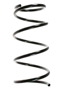 SPIDAN 56302 — Пружина подвески