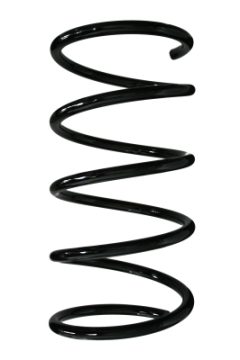 SPIDAN 85110 — Пружина подвески