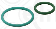 ELRING 455.290 — Set garnituri pompă de injecție