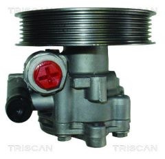 TRISCAN 851565610 — Насос ГУР