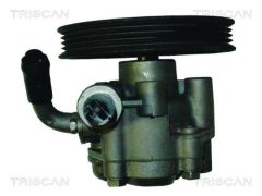 TRISCAN 851569600 — Насос ГУР