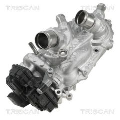 TRISCAN 860029101 — Pompă de apă