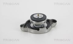 TRISCAN 86104 — Bușon radiator