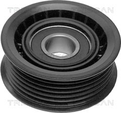 TRISCAN 8641102008 — Rolă ghidaj curea transmisie