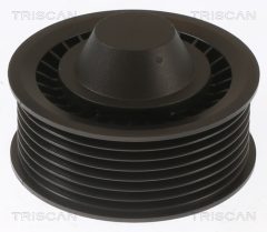 TRISCAN 8641252024 — Обводной ролик поликлинового ремня