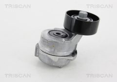 TRISCAN 8641432005 — Întinzător curea trapezoidală dințată