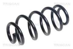 TRISCAN 875011239 — Arc suspensie