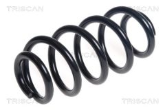 TRISCAN 875011241 — Arc suspensie