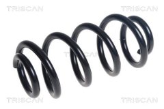 TRISCAN 875011248 — Arc suspensie