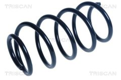 TRISCAN 875016150 — Arc suspensie