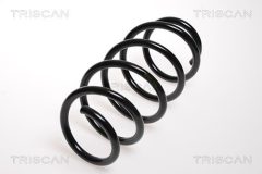 TRISCAN 875024108 — Arc suspensie