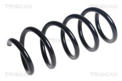 TRISCAN 875024208 — Arc suspensie