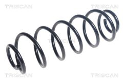 TRISCAN 875028292 — Arc suspensie