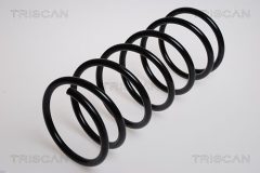 TRISCAN 87502842 — Arc suspensie