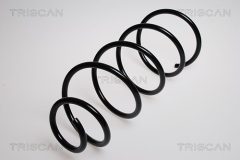TRISCAN 87502879 — Arc suspensie