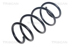 TRISCAN 875029432 — Arc suspensie