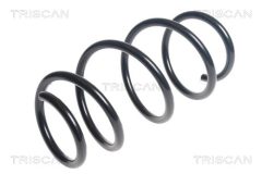 TRISCAN 875029441 — Arc suspensie