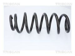 TRISCAN 87508108 — Arc suspensie