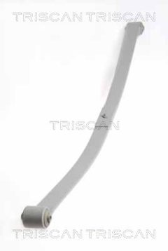 TRISCAN 876529019 — Многолистовая рессора