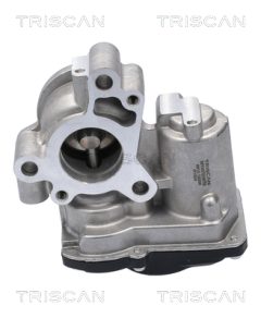 TRISCAN 881310056 — Supapă EGR