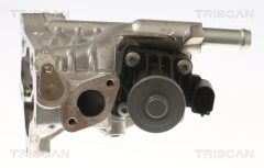 TRISCAN 881310118 — Supapă EGR