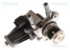TRISCAN 881310119 — Supapă EGR