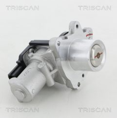 TRISCAN 881318045 — Supapă EGR