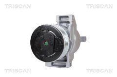 TRISCAN 9020 25013 — Compresor aer condiționat