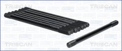 TRISCAN 981006 — Комплект болтов ГБЦ