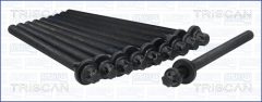 TRISCAN 985010 — Комплект болтов ГБЦ