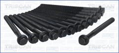 TRISCAN 988009 — Комплект болтов ГБЦ
