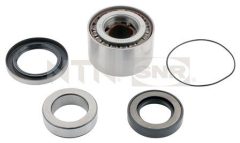 SNR R173.19 — Комплект подшипника ступицы