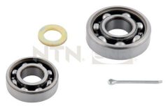 SNR R179.01 — Set rulment roată