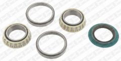 SNR R186.03 — Set rulment roată