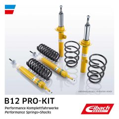 EIBACH E90-25-026-01-22 — Set arcuri și amortizoare
