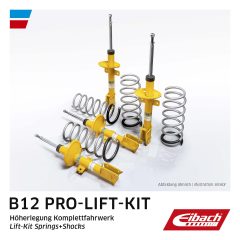 EIBACH E93-35-062-02-20 — Set arcuri și amortizoare
