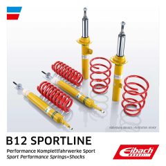 EIBACH E95-81-016-01-22 — Комплект пружин и амортизаторов