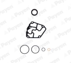 PAYEN EC060 — Set garnituri bloc motor