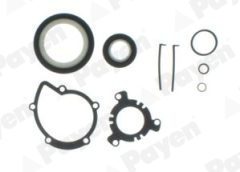 PAYEN ED5500 — Set garnituri bloc motor