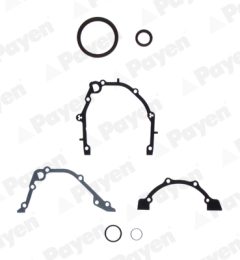 PAYEN EE5180 — Set garnituri bloc motor