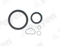 PAYEN EG5810 — Set garnituri bloc motor