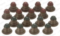 PAYEN HR5033 — Set simeringuri supape